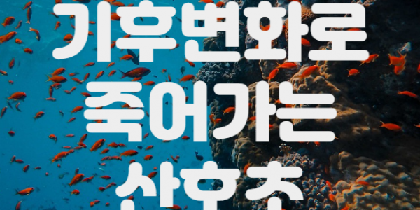 2023-12-24 06;57;03.PNG