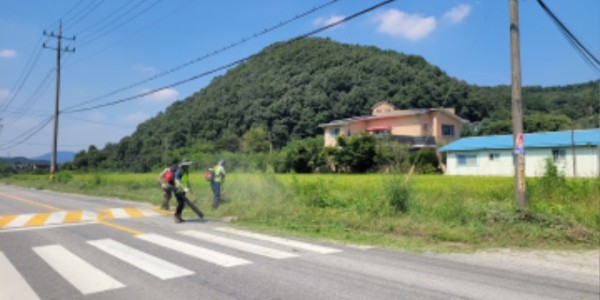 5-1. 용인특례시는 추석 명절을 앞두고 시민과 귀성객에게 안전하고 쾌적한 환경을 제공하기 위해 시 곳곳 도로 제초작업에 나섰다..jpg
