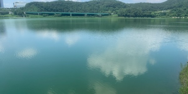 사진 5 기흥저수지 전경.jpg