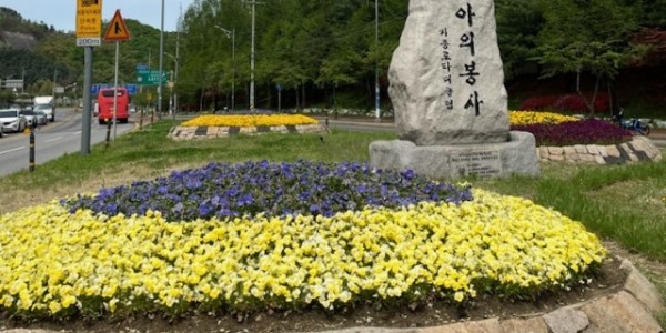 6-1. 기흥구 교통섬 꽃 식재 모습.jpg