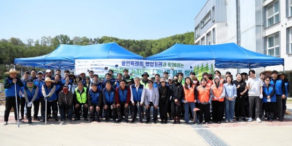 케나프 사진1.JPG