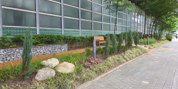 3-1. 명지대 사거리 완충녹지 개선 후 모습.jpg