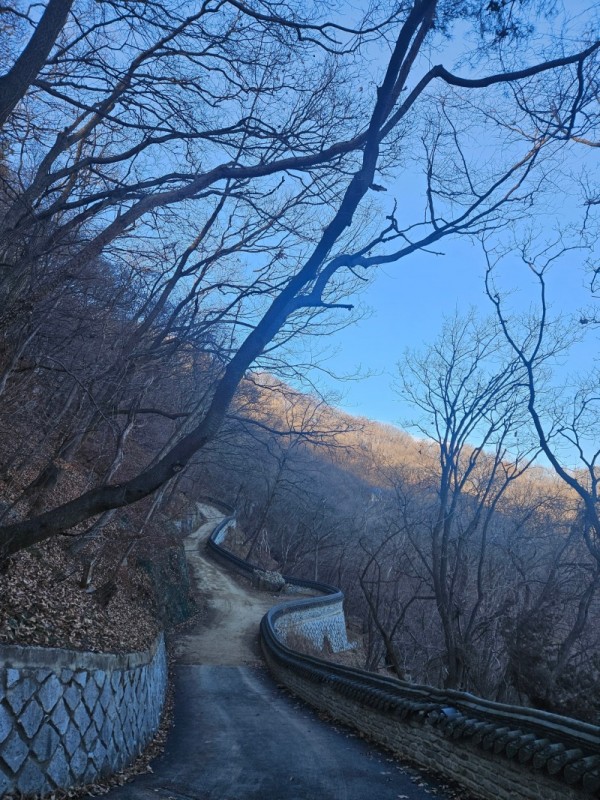 5. 용인특례시, 석성산 숲길 정비사업 마무리.jpg